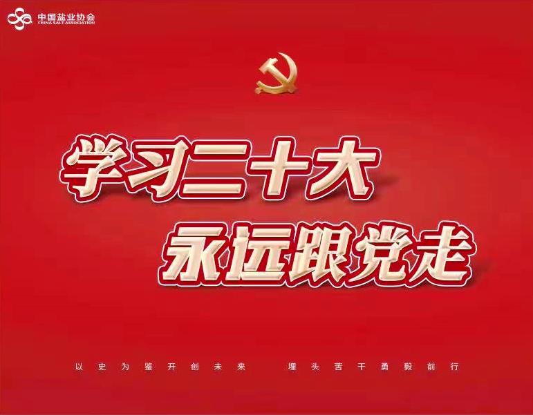 MK网页版登录入口党支部组织收看学习贯彻 党的二十大精神中央宣讲团报告会