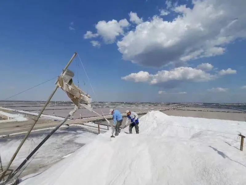 1666666493134375.jpg 1666666493134375.jpg