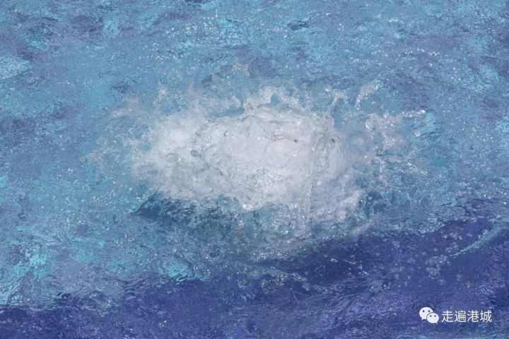 1675910640606920.jpg 1.jpg