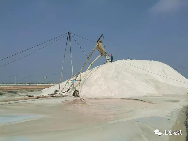 1675910662486131.jpg 2.jpg