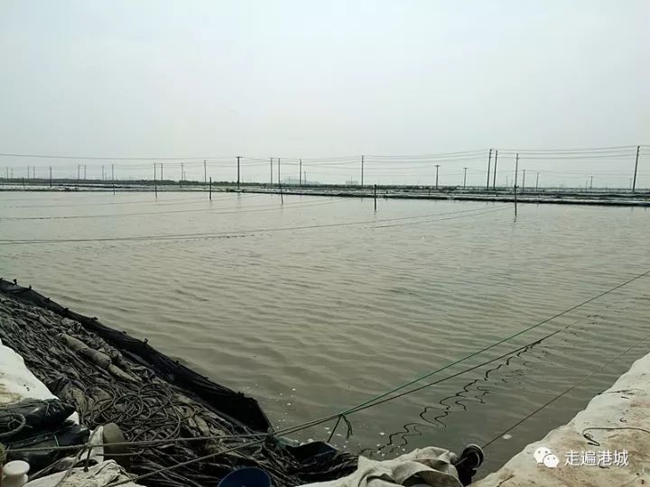 1675910718851407.jpg 3.jpg