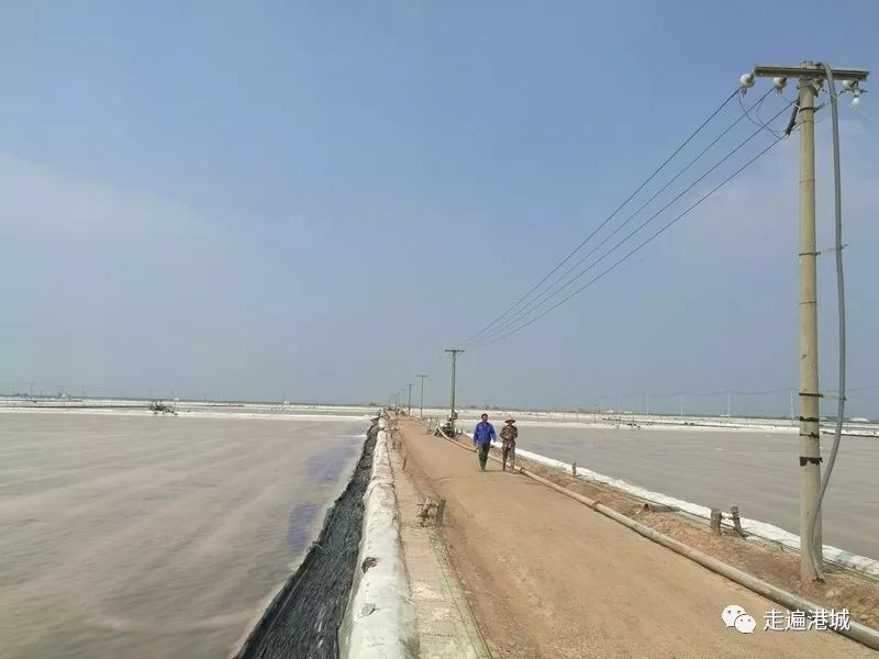 1675911335141751.jpg 9.jpg