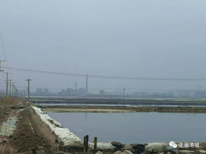 1675911974829217.jpg 17.jpg