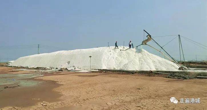 1675911993232351.jpg 18.jpg