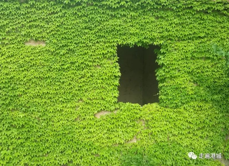 1675912046306393.jpg 21.jpg