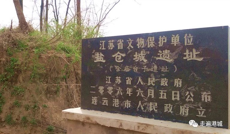 1675912094387270.jpg 23.jpg