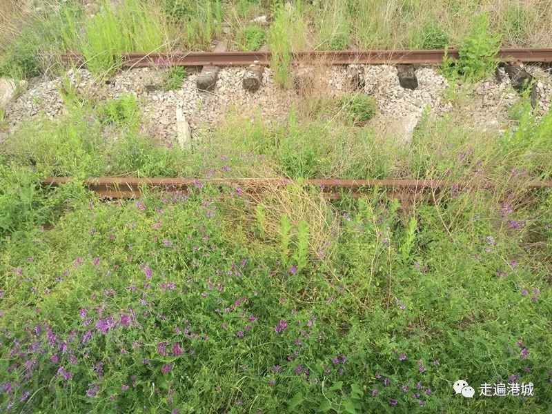 1675912203174167.jpg 26.jpg