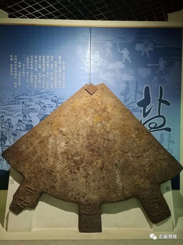 1675912238563438.jpg 28.jpg