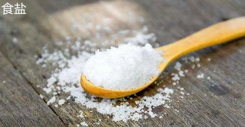 1678327316166764.jpg 1678327316166764.jpg