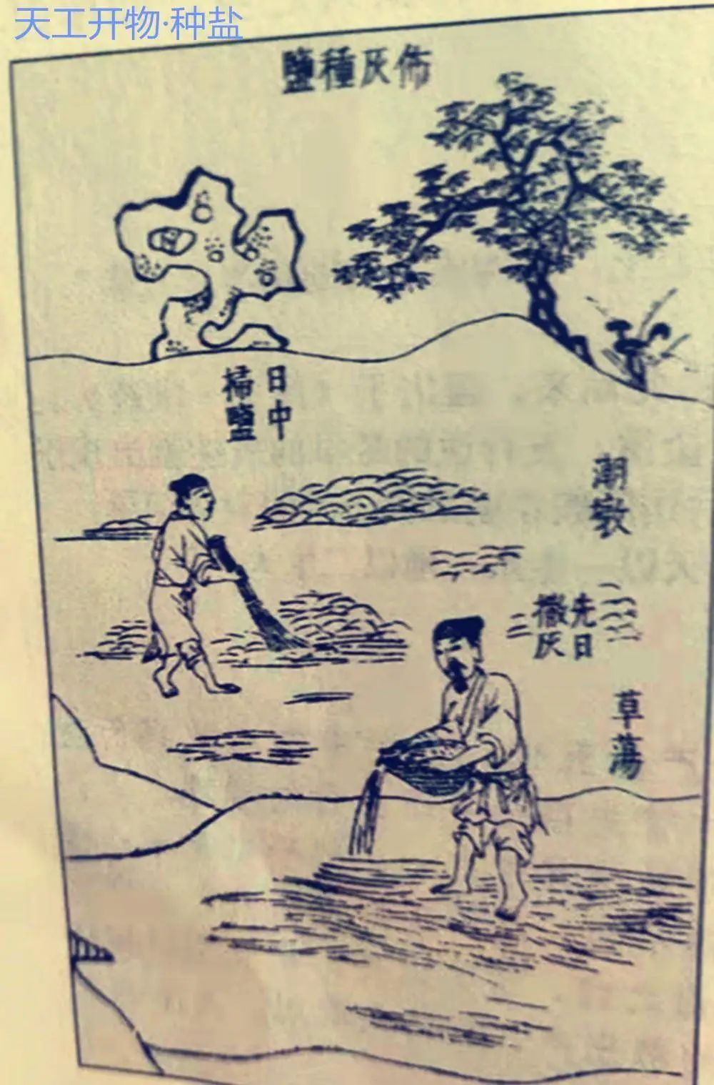 1678328495289006.jpg 1678328495289006.jpg