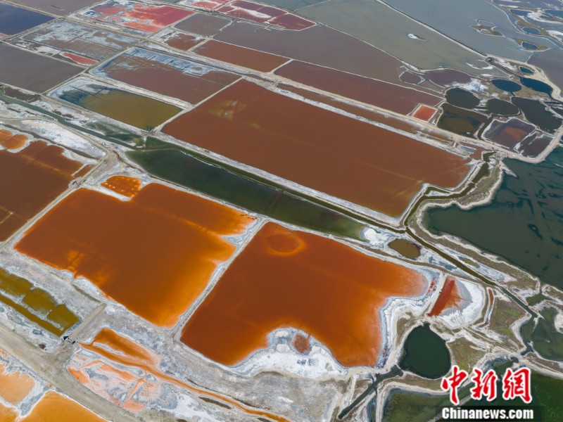 1690947329376665.jpg 1690947329376665.jpg