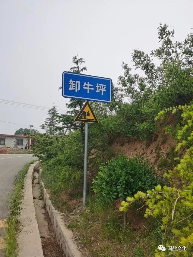 1691547347166086.jpg 1691547347166086.jpg