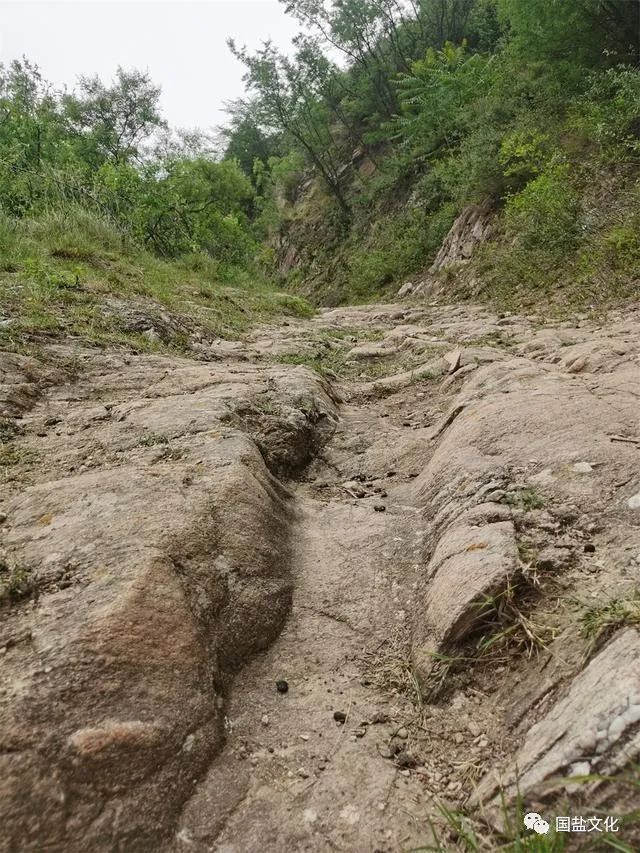 1691547363796000.jpg 1691547363796000.jpg