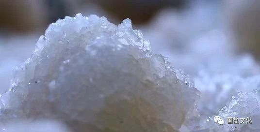 1692071793853624.jpg 微信图片_20230815115325_2.jpg