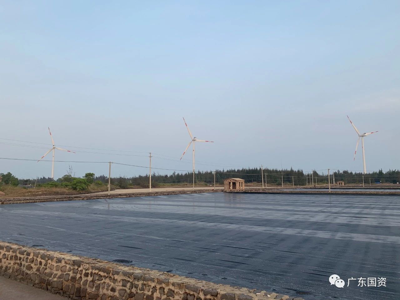 1692328205957856.jpg 1692328205957856.jpg