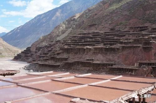 1693469841424381.jpg 1693469841424381.jpg