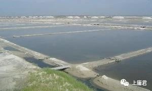 1693470942833440.jpg 1693470942833440.jpg