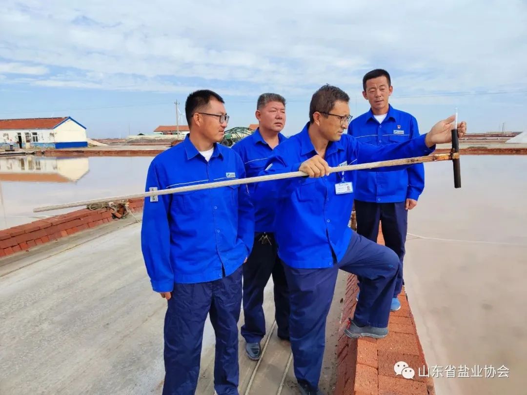 1701327105912958.jpg 1701327105912958.jpg