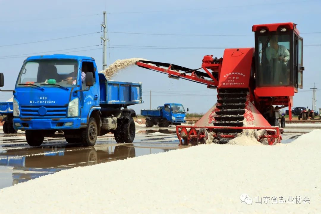 1701327141181499.jpg 1701327141181499.jpg