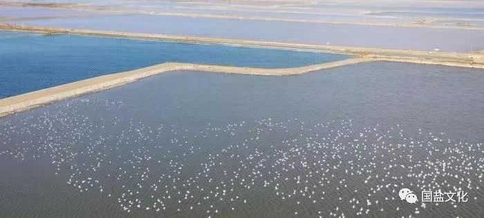 1706236059589985.jpg 微信图片_20240126102439.jpg