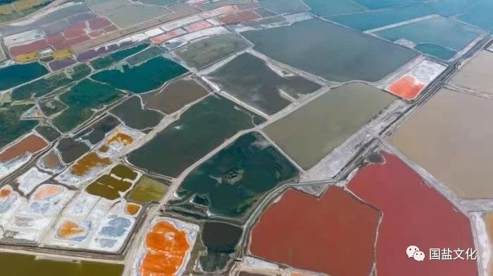 1706236069576315.jpg 微信图片_20240126102441.jpg