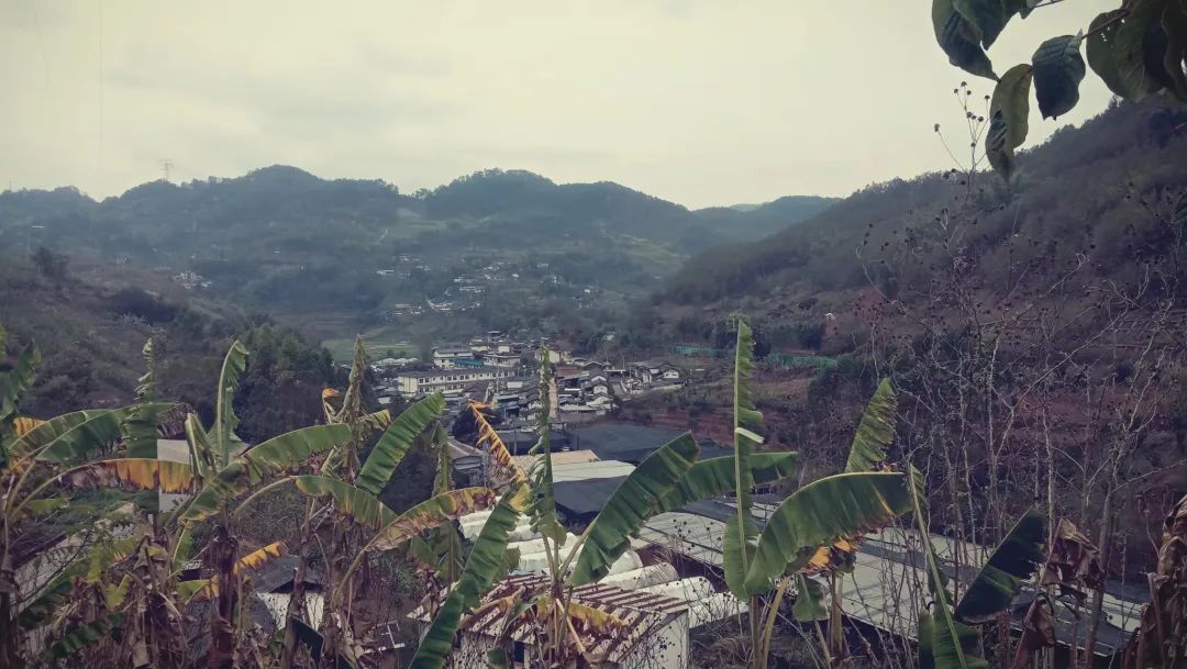 1706236365140111.jpg 1706236365140111.jpg