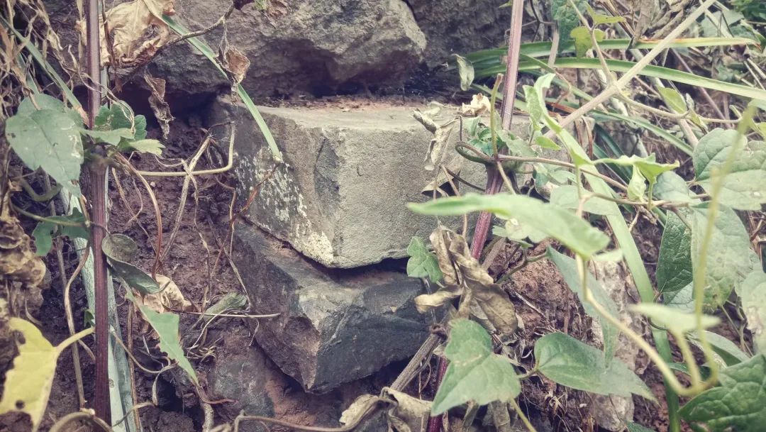 1706236864680699.jpg 1706236864680699.jpg