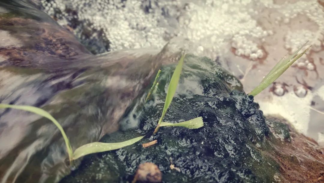 1706236934833546.jpg 1706236934833546.jpg