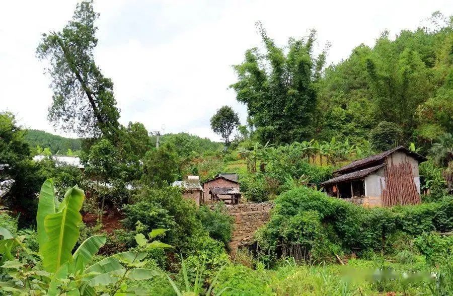 1706236976907868.jpg 1706236976907868.jpg