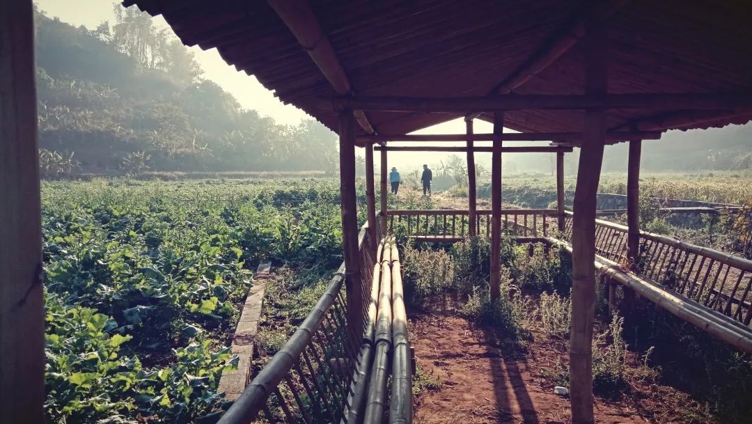 1706237029741802.jpg 1706237029741802.jpg