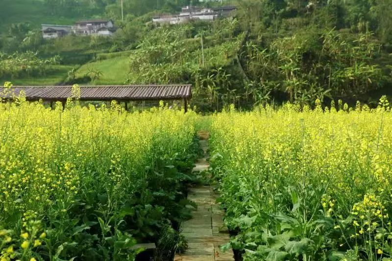 1706237109899596.jpg 微信图片_20240126103001.jpg