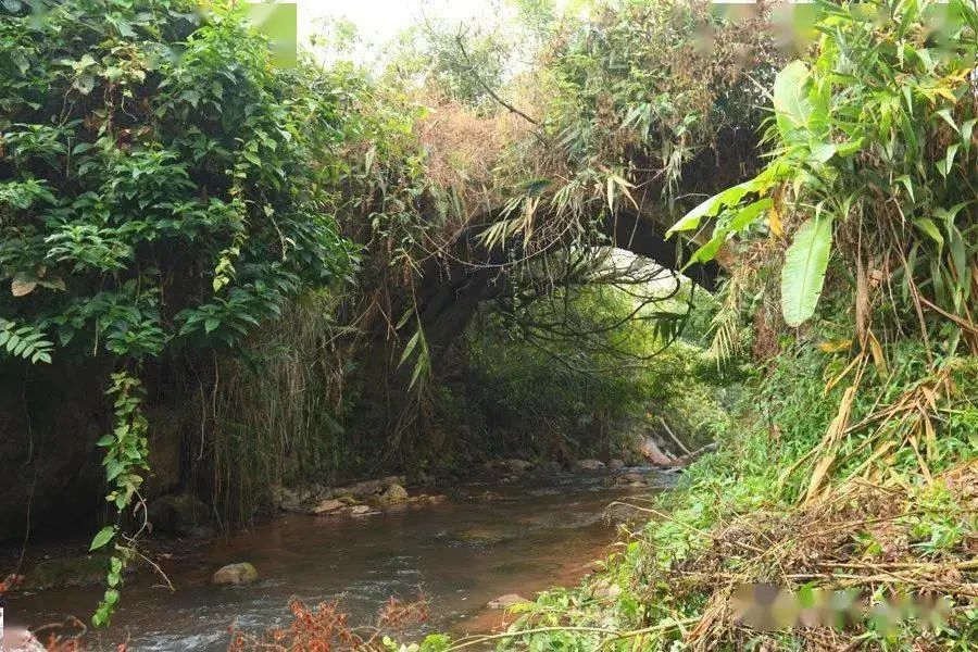 1706237201264219.jpg 1706237201264219.jpg