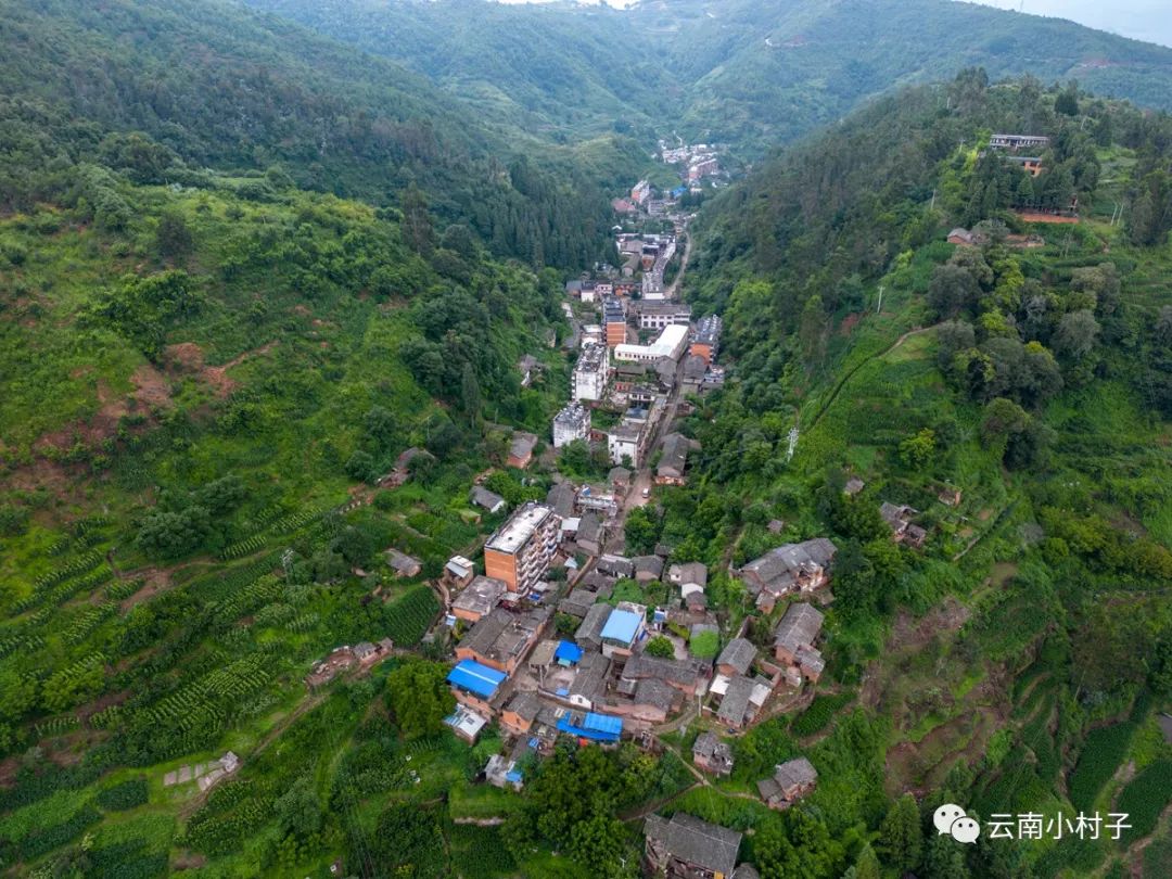 1708512669647622.jpg 1708512669647622.jpg