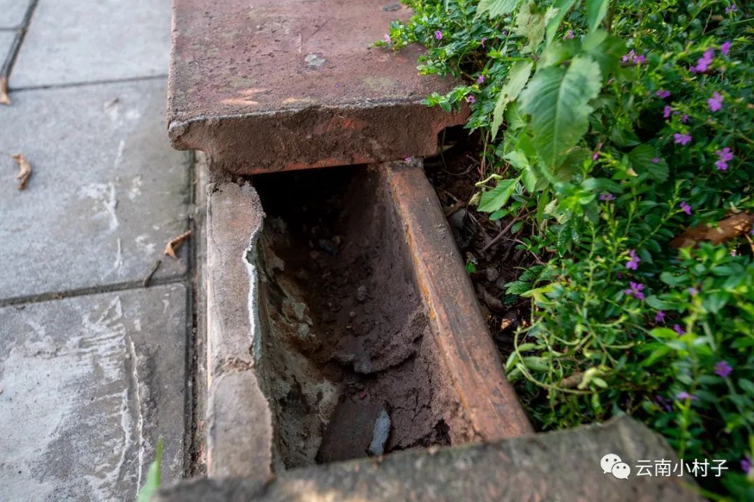 1708513428988372.jpg 1708513428988372.jpg