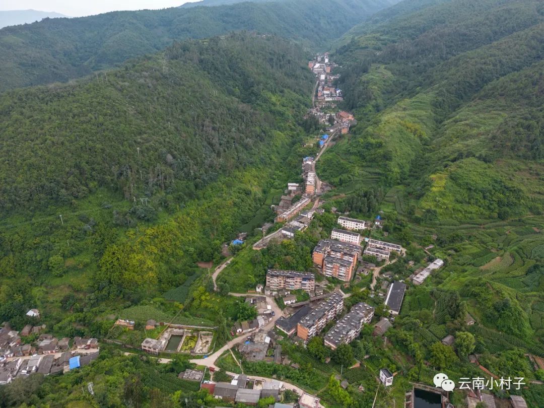 1708513495398861.jpg 1708513495398861.jpg