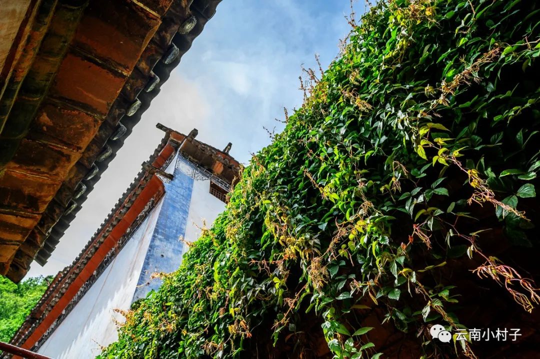 1708514958671658.jpg 1708514958671658.jpg