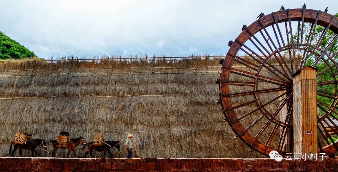 1708515064733430.jpg 1708515064733430.jpg