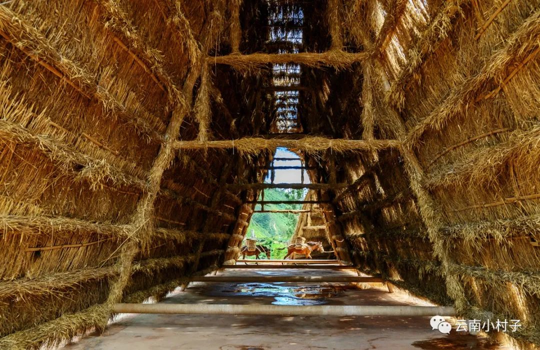 1708515064817485.jpg 1708515064817485.jpg