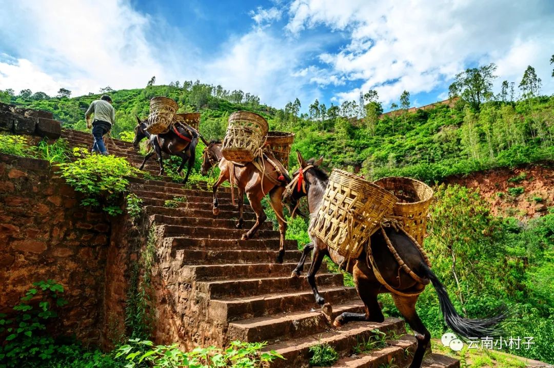 1708515064945674.jpg 1708515064945674.jpg