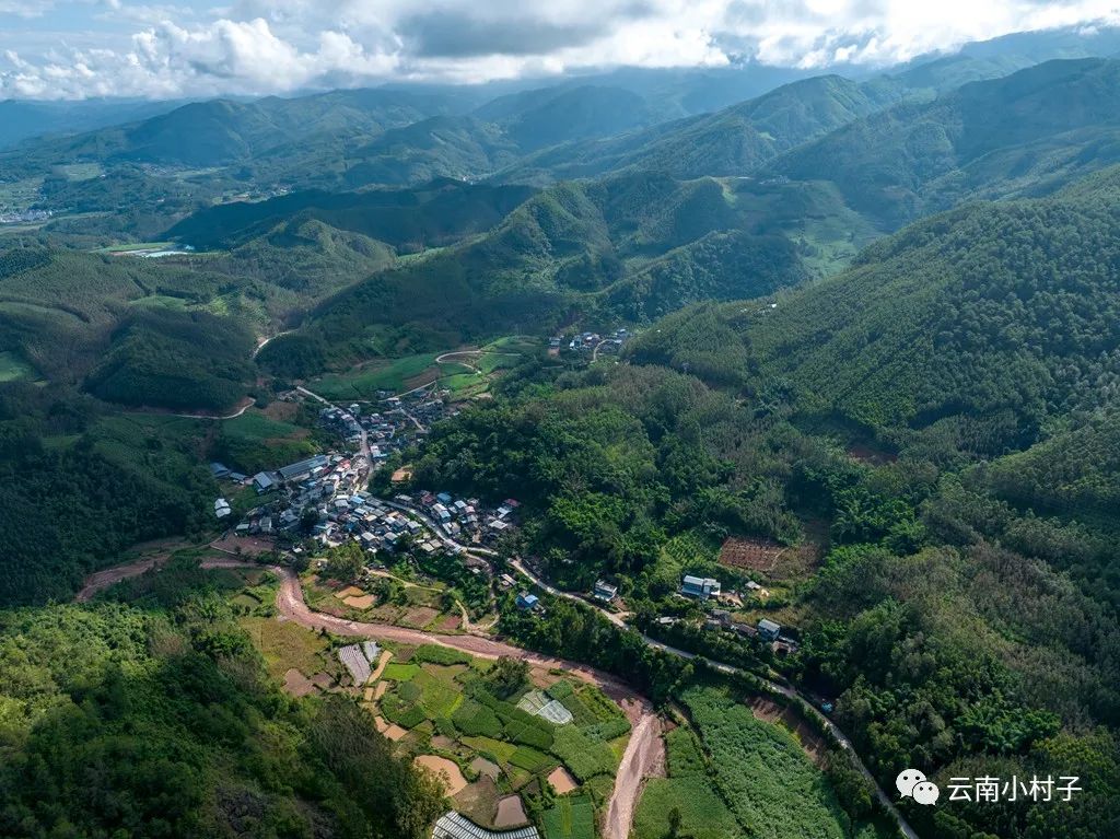 1709777318760015.jpg 2.jpg