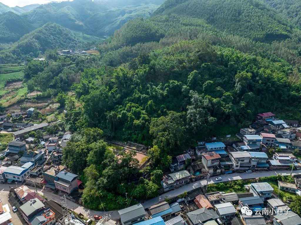 1709777355249073.jpg 4.jpg