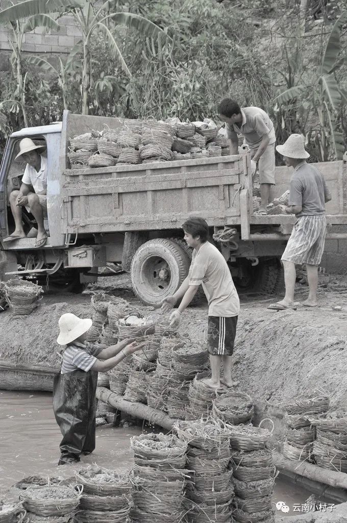 1709777626320599.jpg 22.jpg