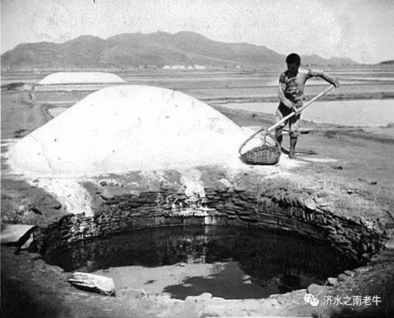 1709862672749318.jpg 2.jpg