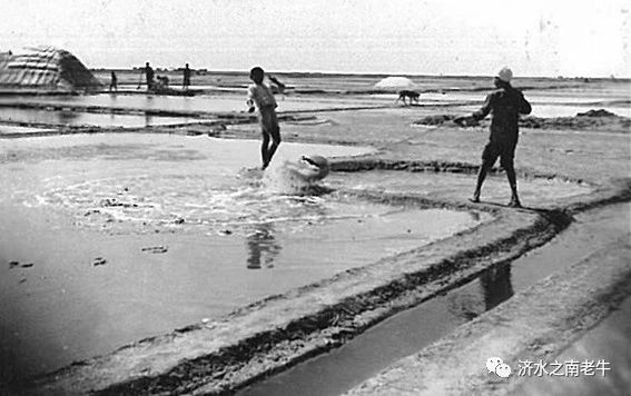 1709862686218365.jpg 3.jpg