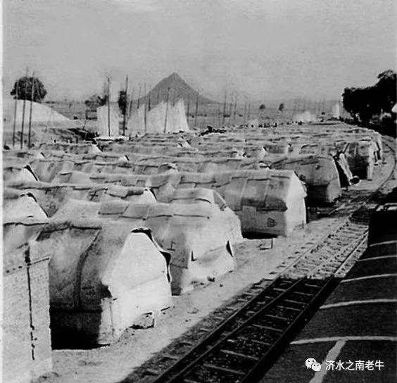 1709862728713113.jpg 5.jpg