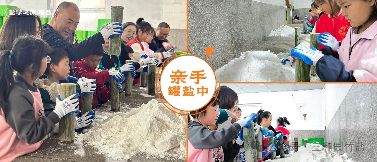 1711329312899409.jpg 4.jpg