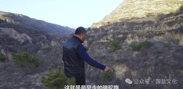 1712629356899848.jpg 微信图片_20240409102120.jpg