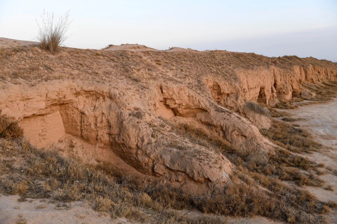 1718332275856811.jpg 6.jpg