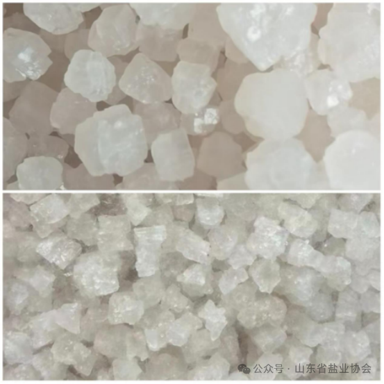 1735523818426685.png 640 (4).png