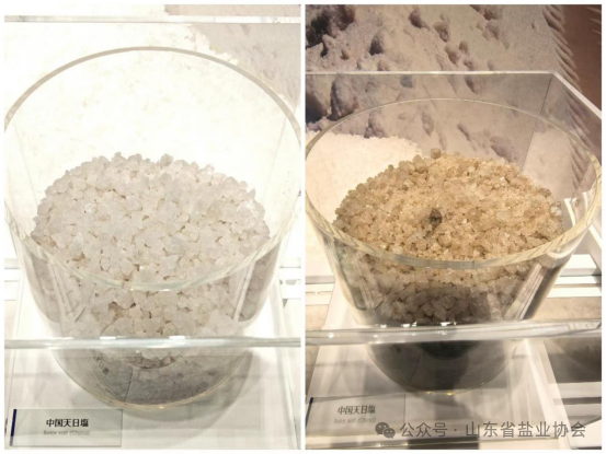 1735524225423748.png 640.png